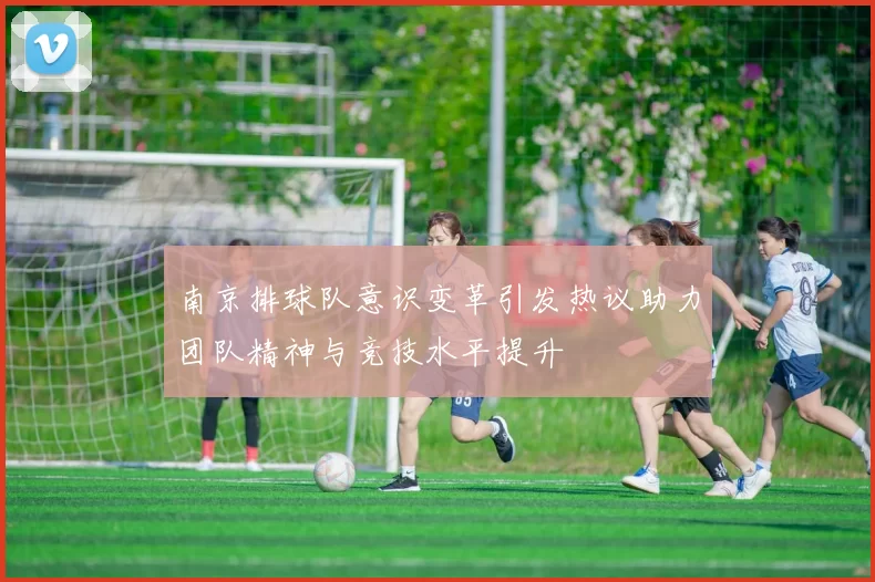 南京排球队意识变革引发热议助力团队精神与竞技水平提升