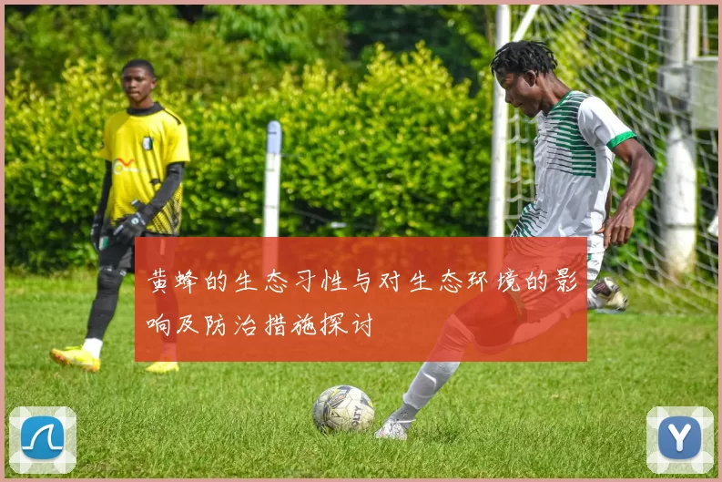黄蜂的生态习性与对生态环境的影响及防治措施探讨
