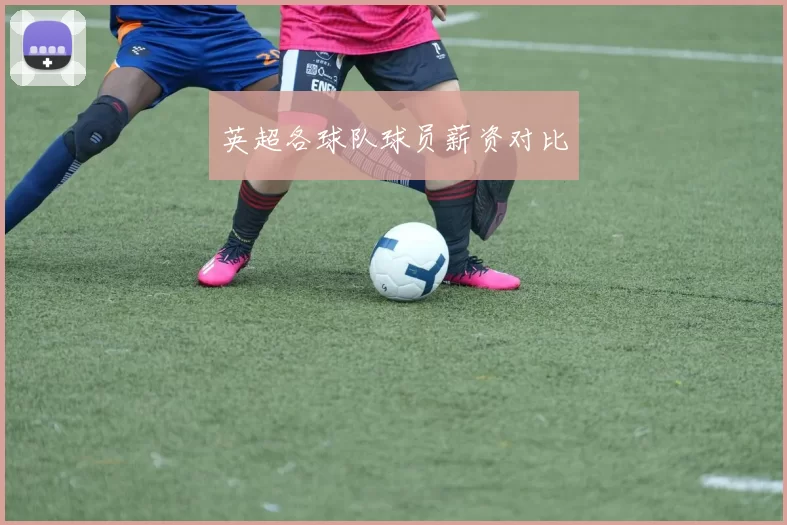英超各球队球员薪资对比