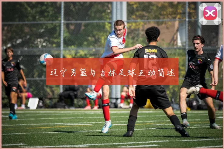 辽宁男篮与吉林足球互动简述
