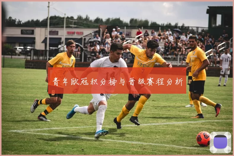青年欧冠积分榜与晋级赛程分析