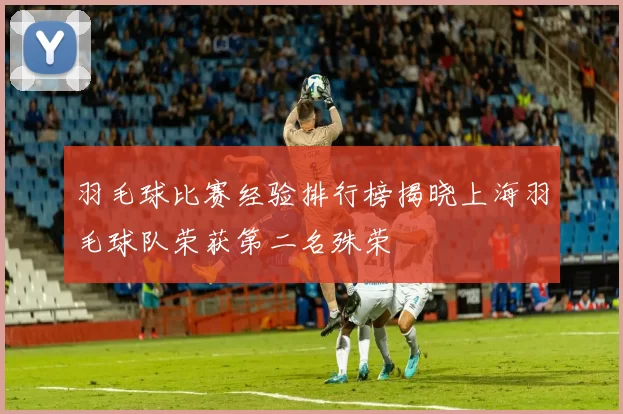 羽毛球比赛经验排行榜揭晓上海羽毛球队荣获第二名殊荣