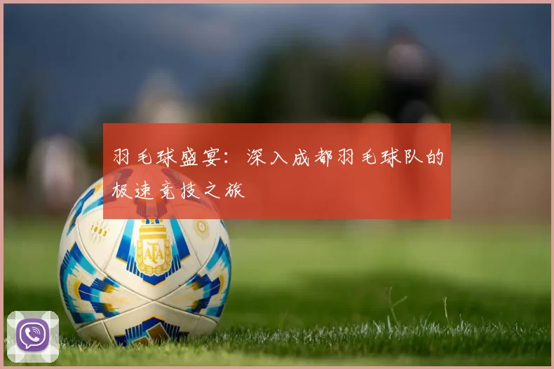 羽毛球盛宴：深入成都羽毛球队的极速竞技之旅