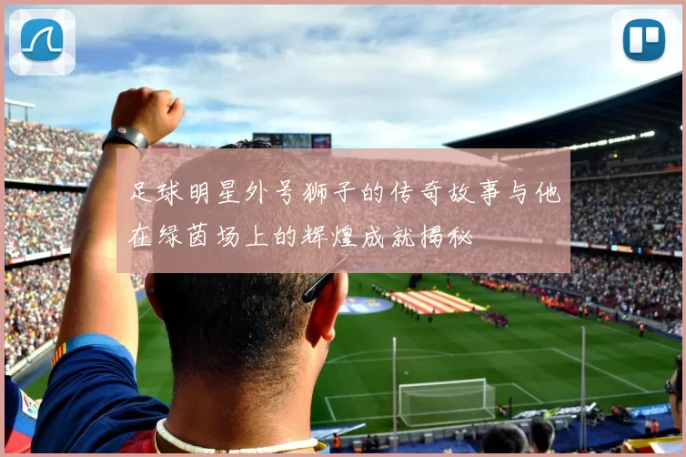 足球明星外号狮子的传奇故事与他在绿茵场上的辉煌成就揭秘