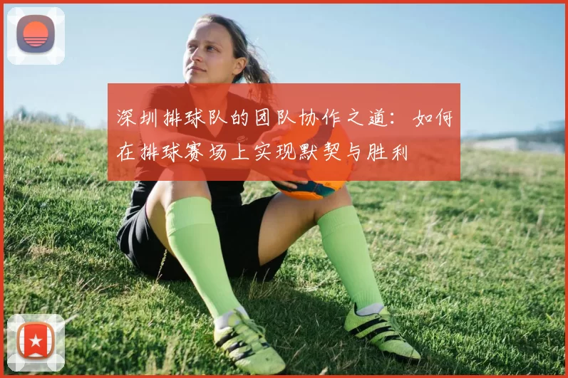 深圳排球队的团队协作之道：如何在排球赛场上实现默契与胜利