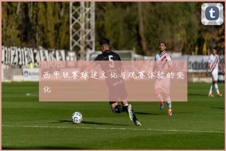 西甲联赛球迷文化与观赛体验的变化