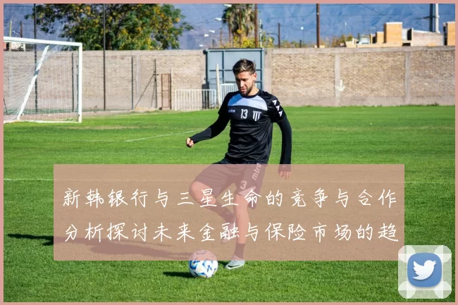 新韩银行与三星生命的竞争与合作分析探讨未来金融与保险市场的趋势