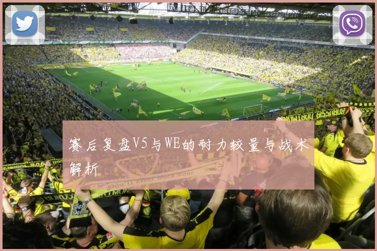 赛后复盘V5与WE的耐力较量与战术解析