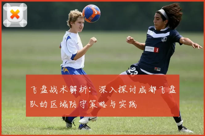 飞盘战术解析：深入探讨成都飞盘队的区域防守策略与实践
